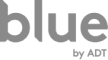 blue logo