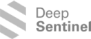 deepsential logo