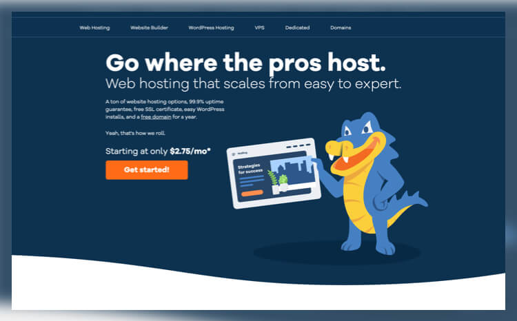 HostGator Hosting Service