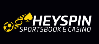 hey-spin logo