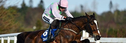 Vautour