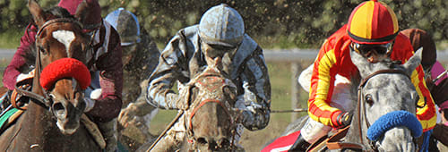 How to ensure betting success