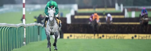 Betting tips for the race