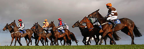 read our betting guide to discover more