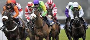 Learn more about the King George VI Chase