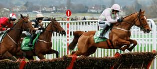 A Brief History of the Cheltenham Festival