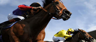Horse Racing Bets Explained