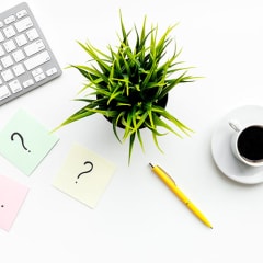 Questions Fréquentes 