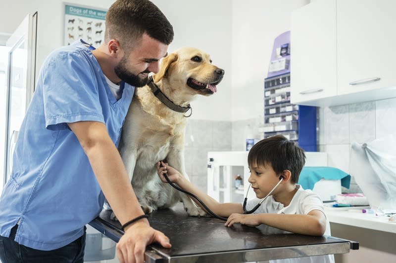  Care for your pet with insurance