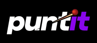 puntit logo