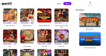 puntit site preview
