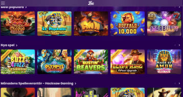 flax-casino site preview
