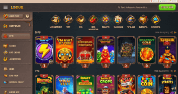 lodur site preview
