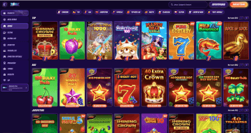 zinx site preview